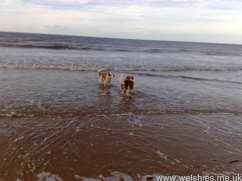 2011-09-08 14.jpg